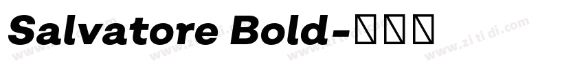 Salvatore Bold字体转换 Salvatore Bold字体转换